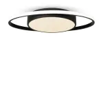 Потолочный светильник Freya Cosmic FR10015CL-L62B