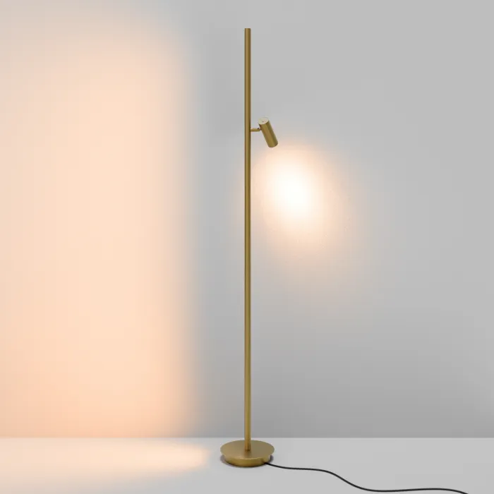 Напольный светильник (торшер) Maytoni Thin MOD395FL-L28BS3K от ImperiumLoft