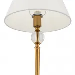 Настольный светильник Rosemary FR5190TL-01BS1 от ImperiumLoft