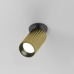 Встраиваемый светильник Maytoni Ceiling C110CL-01-GU10-BS