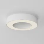 Потолочный светильник Maytoni Ceiling C093CL-24W3K-W от ImperiumLoft