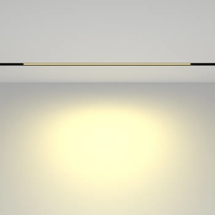 Трековый светильник Maytoni EXILITY TR030-2-24W2.7K-B от ImperiumLoft