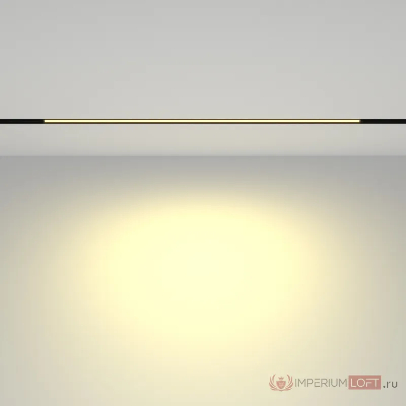Трековый светильник Maytoni EXILITY TR030-2-24W2.7K-B от ImperiumLoft