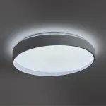 Потолочный светильник Freya Пасс / Pass FR6222CL-L84W