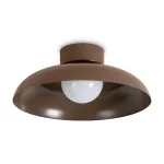 Потолочный светильник Freya Movement FR5602CL-L10BR