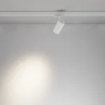 Трековый светильник Maytoni TRINITY TR197-3-12WCCT-M-W