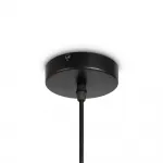 Подвесной светильник LoungeGarden FR5248PL-01BG