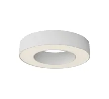 Потолочный светильник Maytoni Ceiling C093CL-24W3K-W