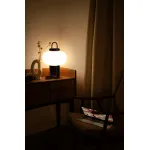 Настольный светильник Freya Take FR6175TL-L10B от ImperiumLoft