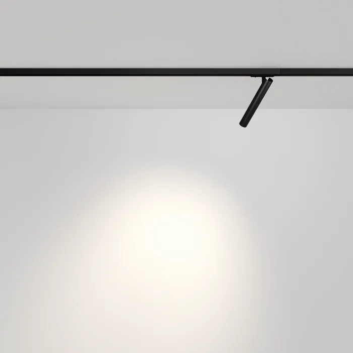 Трековый светильник Maytoni UNITY TR141-1-6W3K-M-B от ImperiumLoft