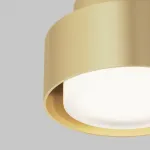 Потолочный светильник Maytoni Ceiling C092CL-GX53-MG