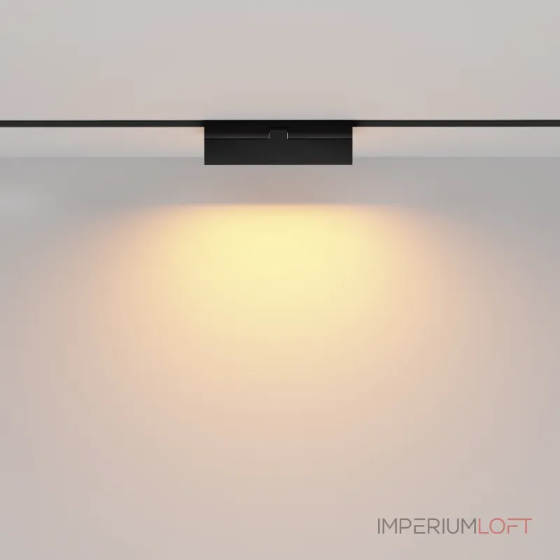 Трековый светильник Maytoni EXILITY TR036-2-12W2.7K-B