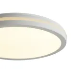 Потолочный светильник Freya Руа / Rua FR6160CL-L40W