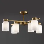 Потолочная люстра Freya Modern FR5446PL-06BS