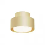 Потолочный светильник Maytoni Ceiling C092CL-GX53-MG