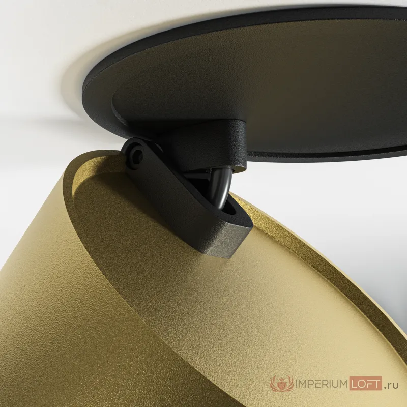Встраиваемый светильник Maytoni Downlight DL024-12W3K-BMG от ImperiumLoft