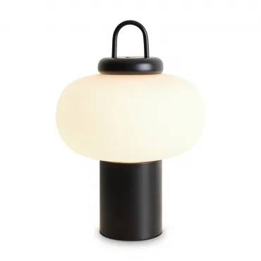 Настольный светильник Freya Take FR6175TL-L10B