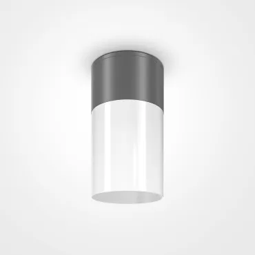 Уличный потолочный светильник Maytoni Willis O418CL-01GR