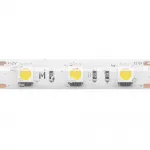 Светодиодная лента Maytoni 12В 5050 14,4Вт/м 4000K 5м IP 65 201187 от ImperiumLoft Светодиодная лента Maytoni 12В 5050 14,4Вт/м 4000K 5м IP 65 201187 от ImperiumLoft