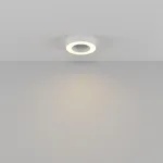 Потолочный светильник Maytoni Ceiling C093CL-24W3K-W от ImperiumLoft