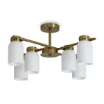 Потолочная люстра Freya Modern FR5446PL-06BS