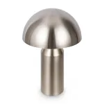 Настольный светильник Eleon FR5218TL-02N
