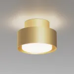 Потолочный светильник Maytoni Ceiling C092CL-GX53-MG