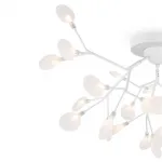 Потолочный светильник Florencia FR5049CL-27W2