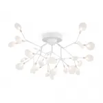 Потолочный светильник Florencia FR5049CL-27W2