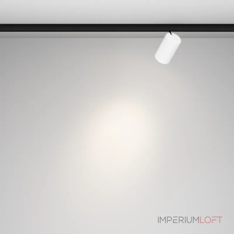 Трековый светильник Maytoni LEVITY TR187-1-5W4K-M-BW