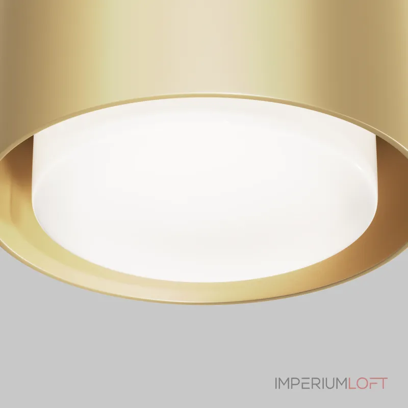 Потолочный светильник Maytoni Ceiling C092CL-GX53-MG