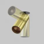 Встраиваемый светильник Maytoni FOCUS LED C053CL-L12W2.7K-W-BS