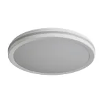 Потолочный светильник Freya Руа / Rua FR6160CL-L40W