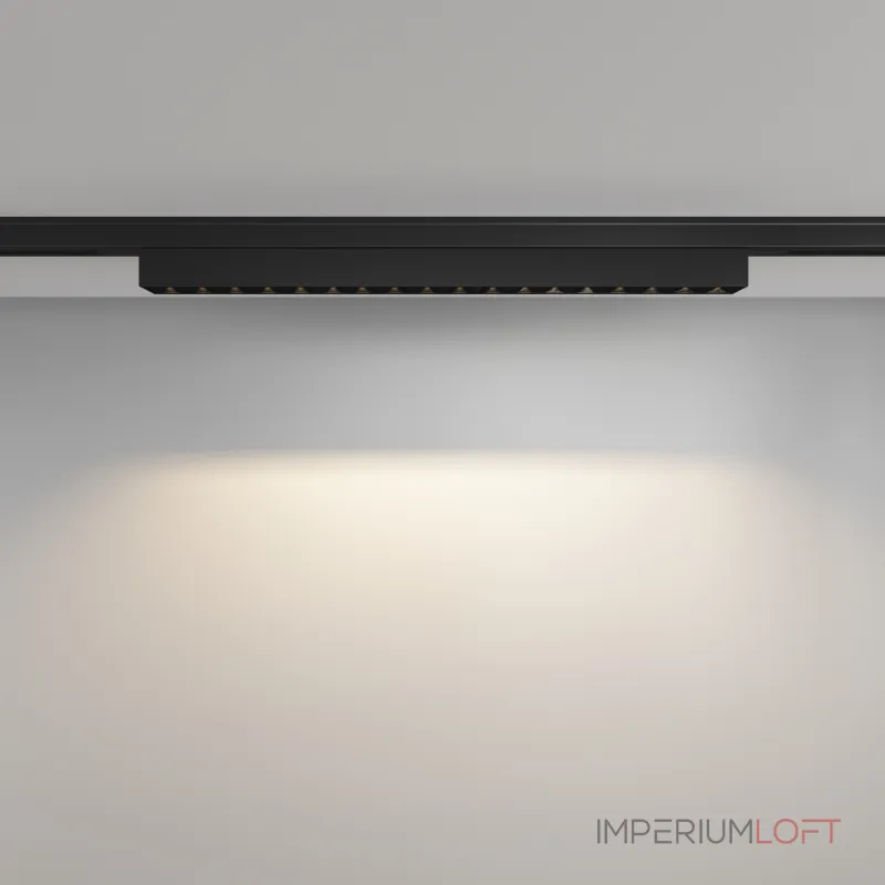 Трековый светильник Maytoni LEVITY TR193-1-15W3K-M-B