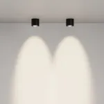 Потолочный светильник Maytoni Ceiling C217CL-15W4K-B