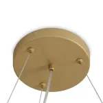 Подвесная люстра Freya Bless FR5567PL-06G