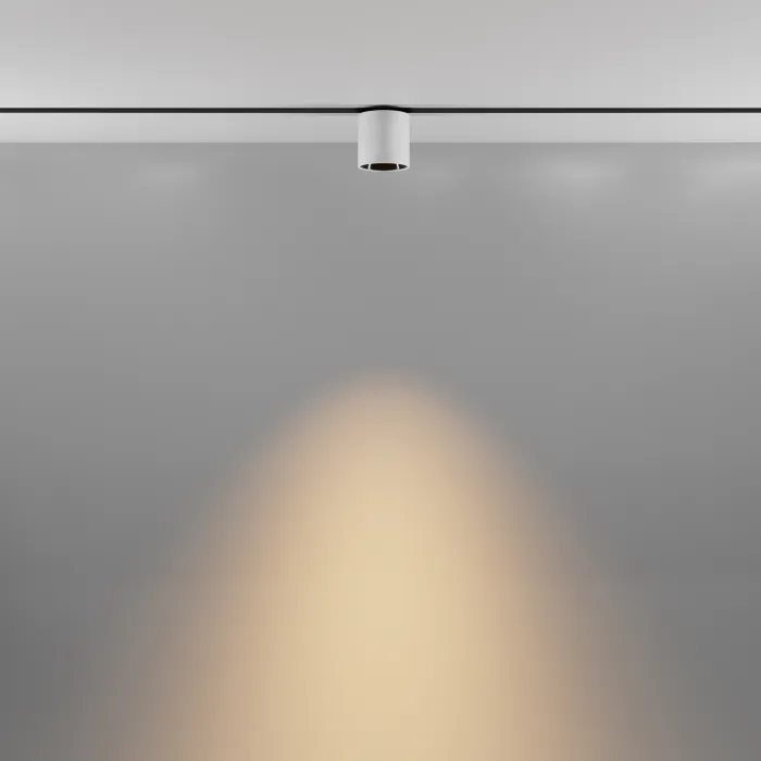 Трековый светильник Maytoni EXILITY TR132-2-7W3K-W от ImperiumLoft