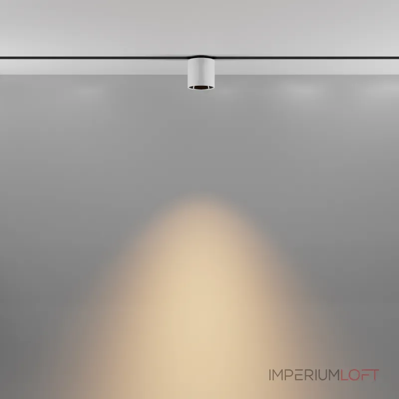 Трековый светильник Maytoni EXILITY TR132-2-7W3K-W