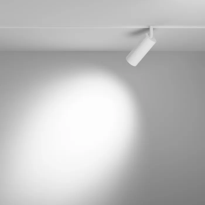 Трековый светильник Maytoni Focus LED TR032-4-12WTW-M-DSZ-W от ImperiumLoft