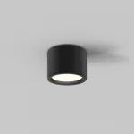 Потолочный светильник Maytoni Ceiling C090CL-10W3K-B от ImperiumLoft