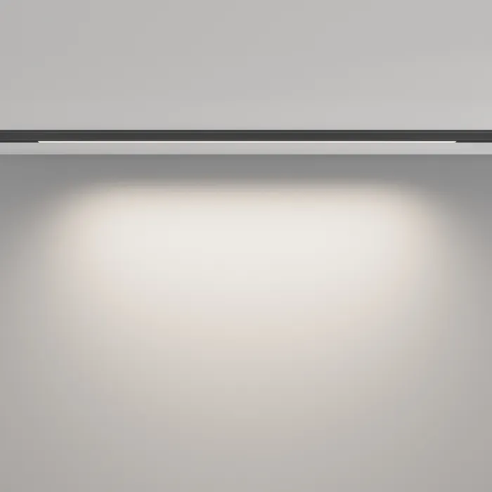 Трековый светильник Maytoni LEVITY TR190-1-10W4K-B от ImperiumLoft