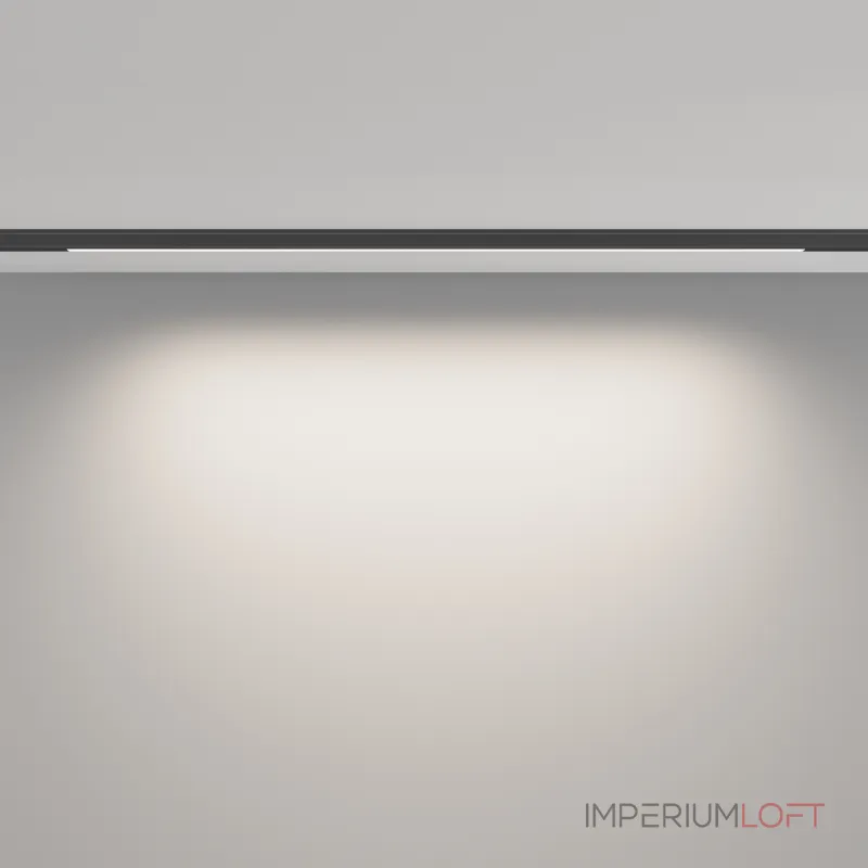 Трековый светильник Maytoni LEVITY TR190-1-10W4K-B