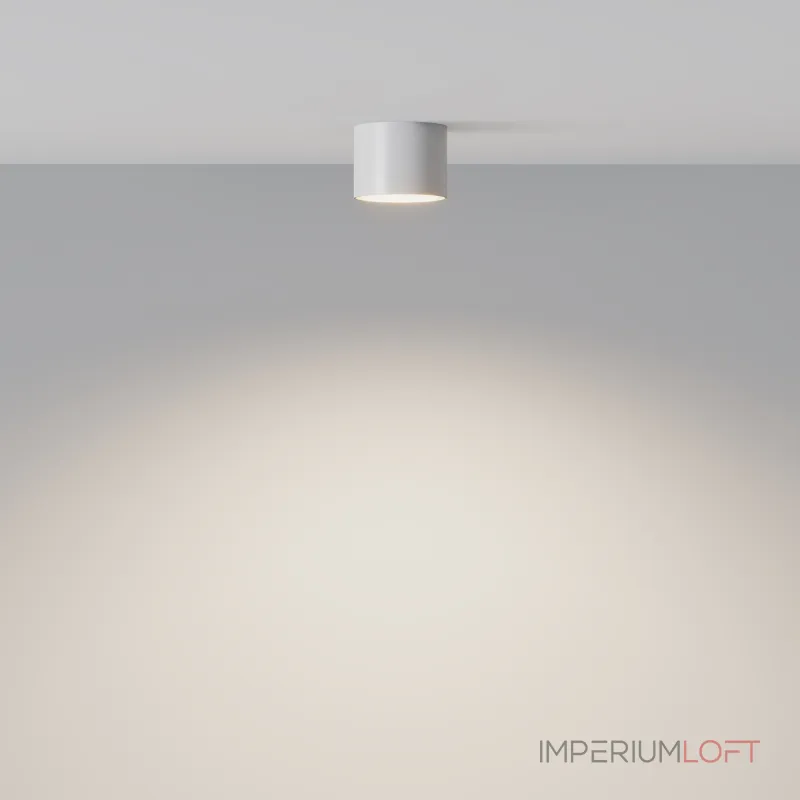 Потолочный светильник Maytoni Ceiling C096L-GX53-WBS