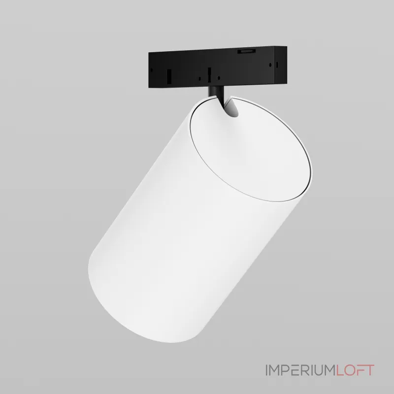 Трековый светильник Maytoni LEVITY TR187-1-5W4K-M-BW