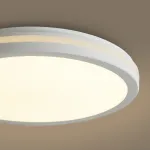 Потолочный светильник Freya Руа / Rua FR6160CL-L40W