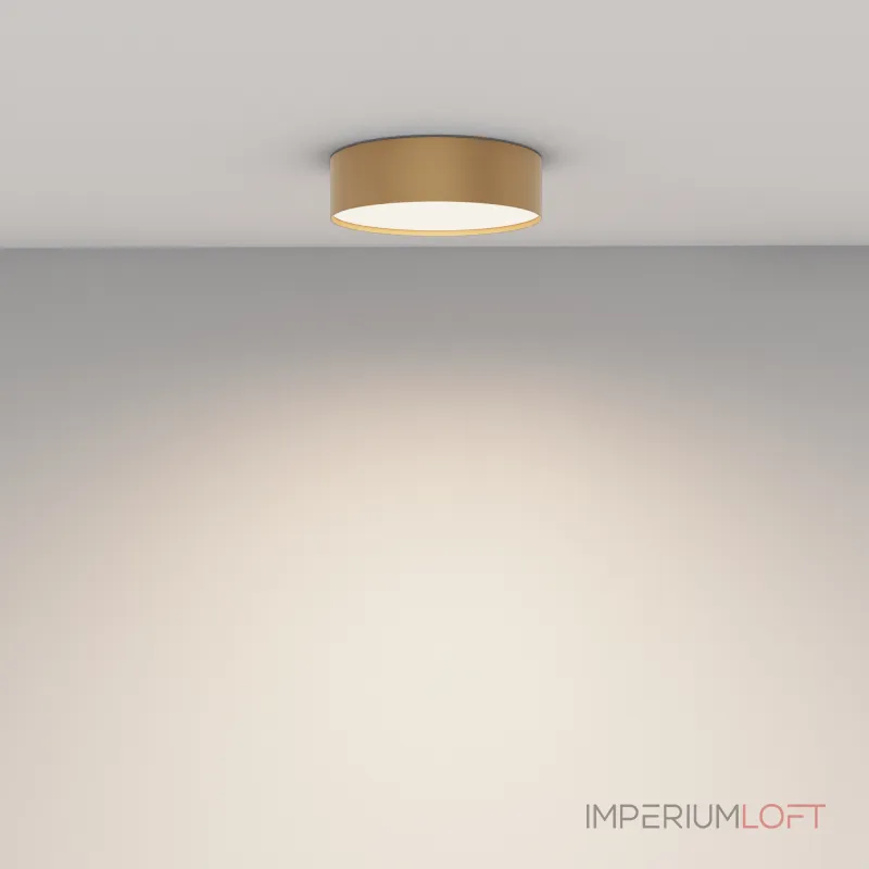 Потолочный светильник Maytoni Ceiling C032CL-24W4K-RD-MG