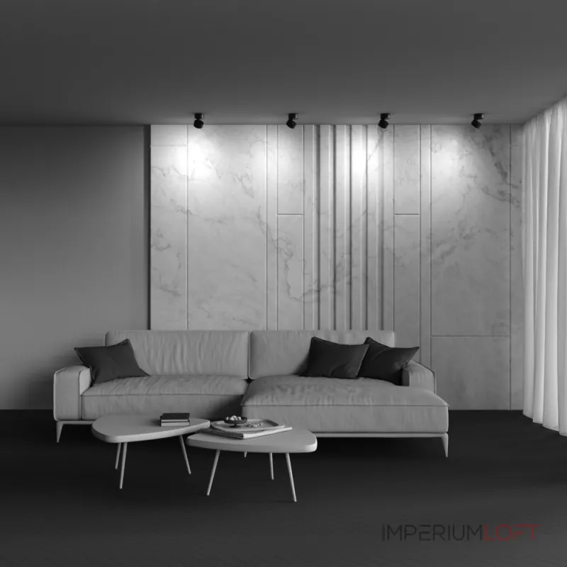 Потолочный светильник Maytoni Ceiling C024CL-12W4K-B-1