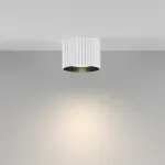 Потолочный светильник Maytoni Ceiling Calipso C106CL-GX53-W