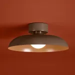 Потолочный светильник Freya Movement FR5602CL-L10BR