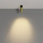 Встраиваемый светильник Maytoni FOCUS LED C053CL-L12W2.7K-W-BS